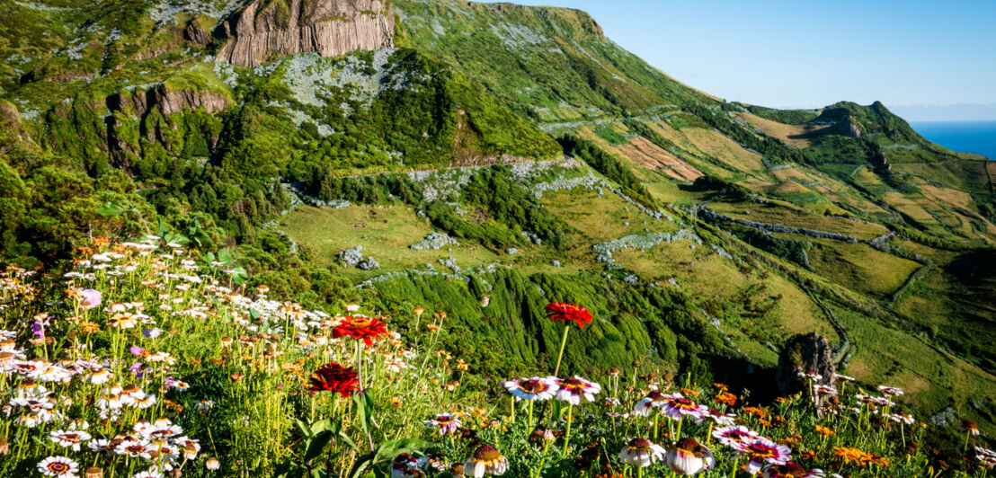 Panoramaaufnahme von Rocha dos Bordoes auf der Azoreninsel Flores.