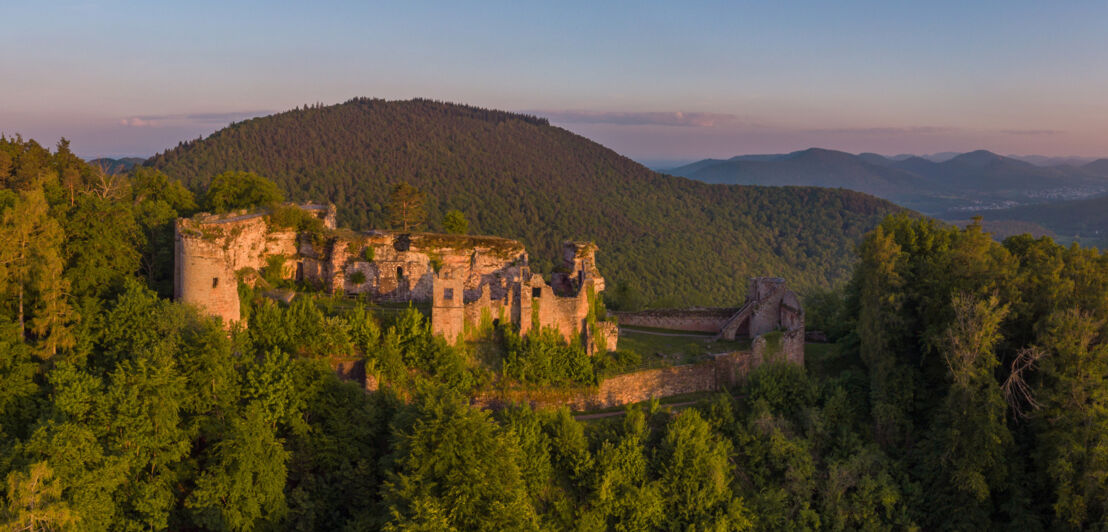 Panoramablick auf den Pfälzerwald mit Burgruine im Sonnenaufgang