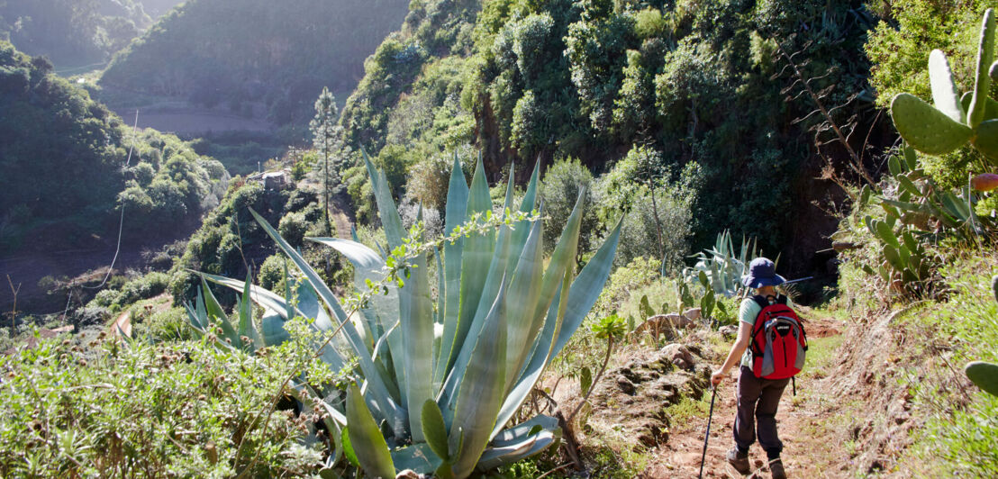 Rückansicht einer Frau mit Rucksack, die durch eine subtropisch-mediterrane Berglandschaft wandert