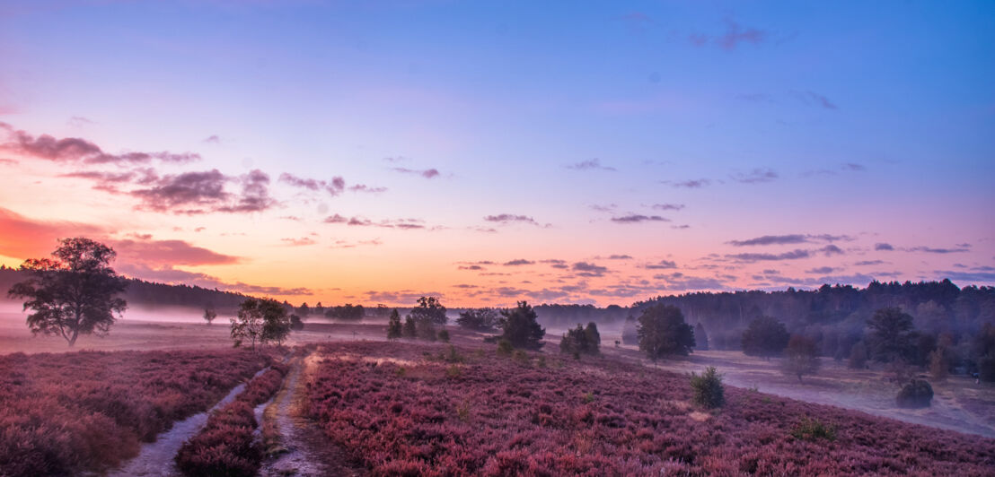 Sonnenuntergang in der Lüneburger Heide