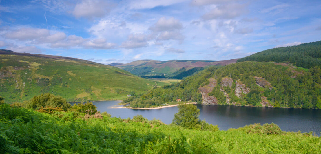 Blick auf den malerischen See Lough Dan in Irland