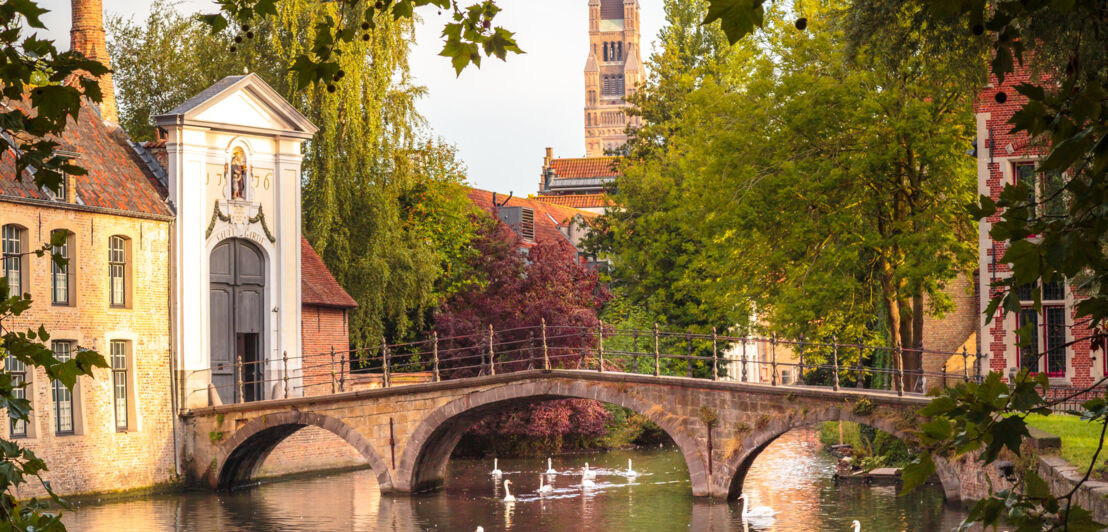 Eine mittelalterliche Stadtbrücke führt über eine Gracht mit Schwänen zum Eingang eines Klosters.