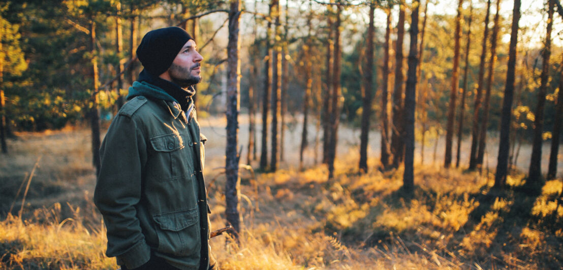 Eine Person spaziert bei Sonnenschein durch einen Wald