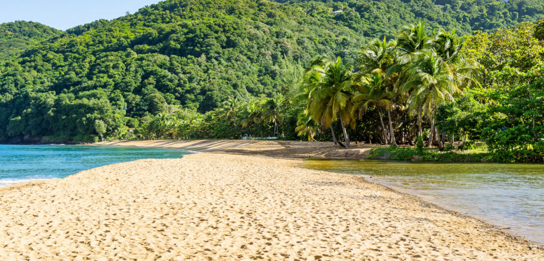 Weitläufiger, menschenleerer Sandstrand vor begrünten Hügeln mit tropischer Vegetation