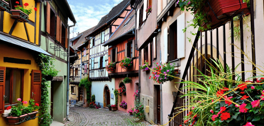 Pittoreske, kopfsteingepflasterte Gasse mit bunten Fachwerkhäusern mit Blumenkästen