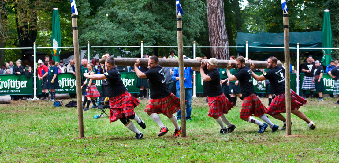 Fünf Personen in Kilts tragen einen Baumstamm und rennen damit zwischen senkrechten Holzpflöcken hindurch. 