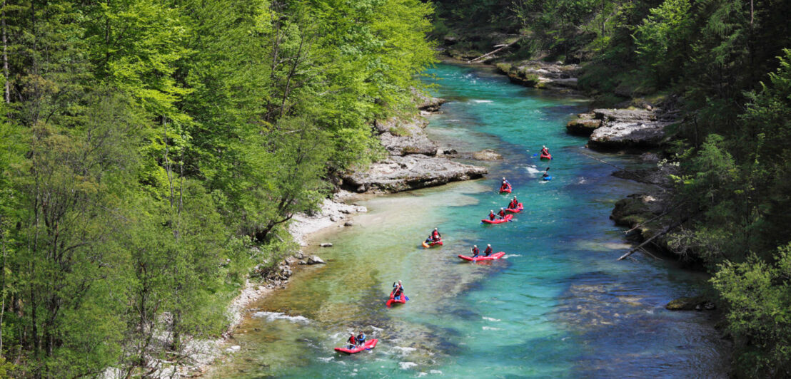 Mehrere Personen auf roten Schlauchbooten fahren über einen türkisgrünen Wildwasserfluss durch ein Waldstück