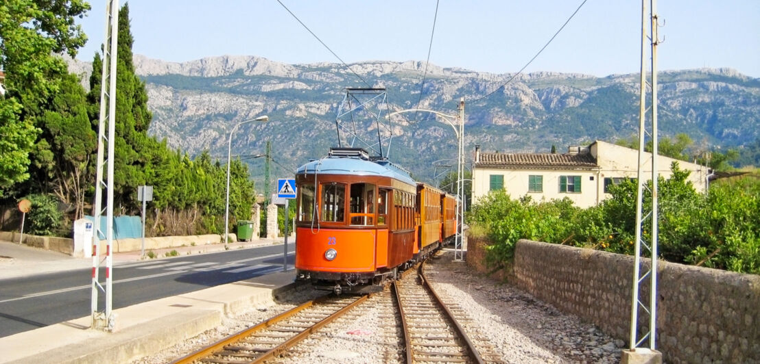 Holzzug vor dem Tramuntana-Gebirge