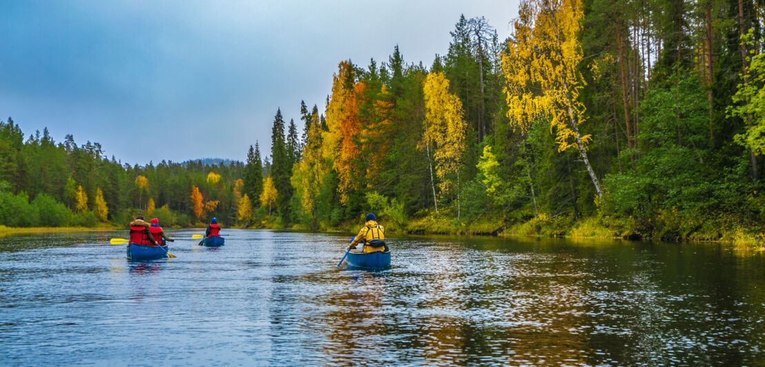 Rückansicht von Personen in drei Kanus auf einem Fluss in herbstlicher Waldlandschaft