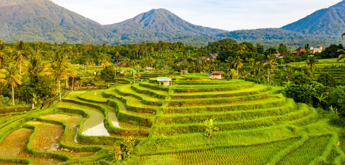 Reiseterrassen auf Bali