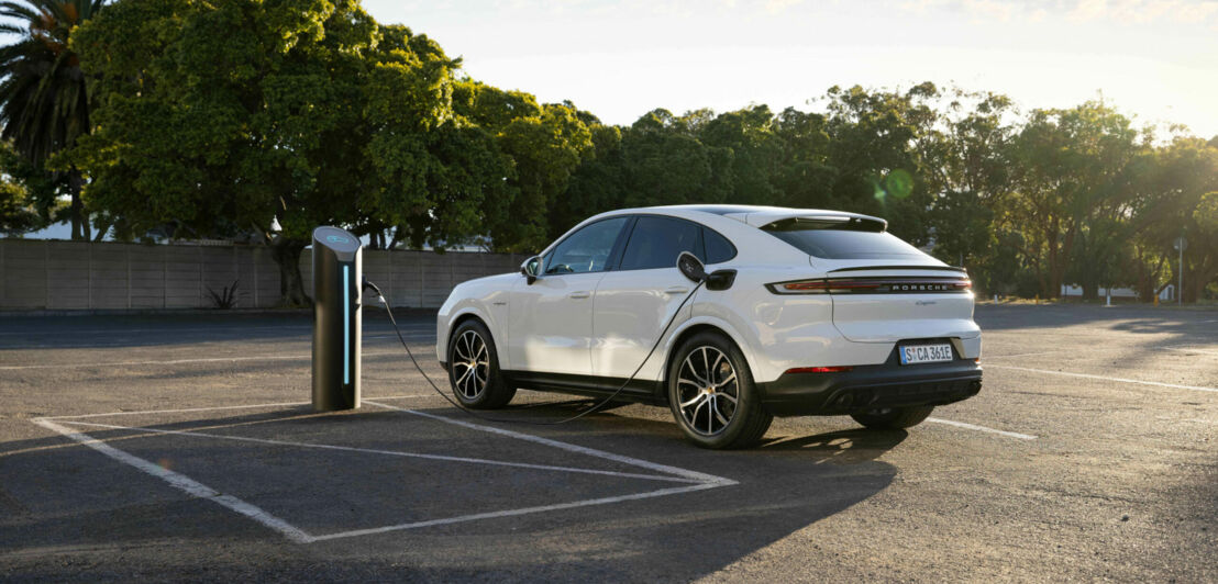 Ein weißer Porsche Cayenne an einer Ladesäule auf einem Parkplatz, im Hintergrund Bäume