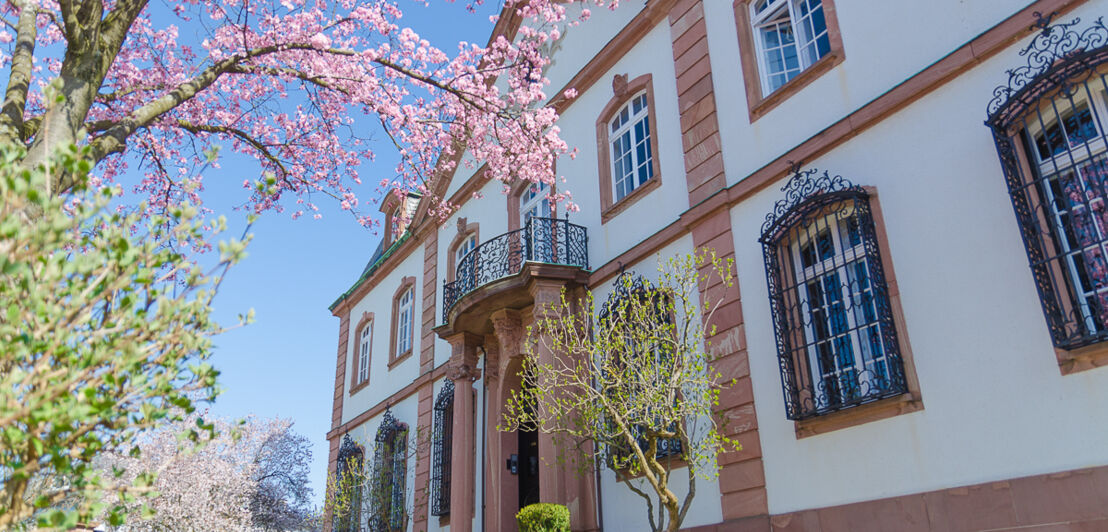 Die Fassade einer edlen Villa mit blühendem Vorgarten