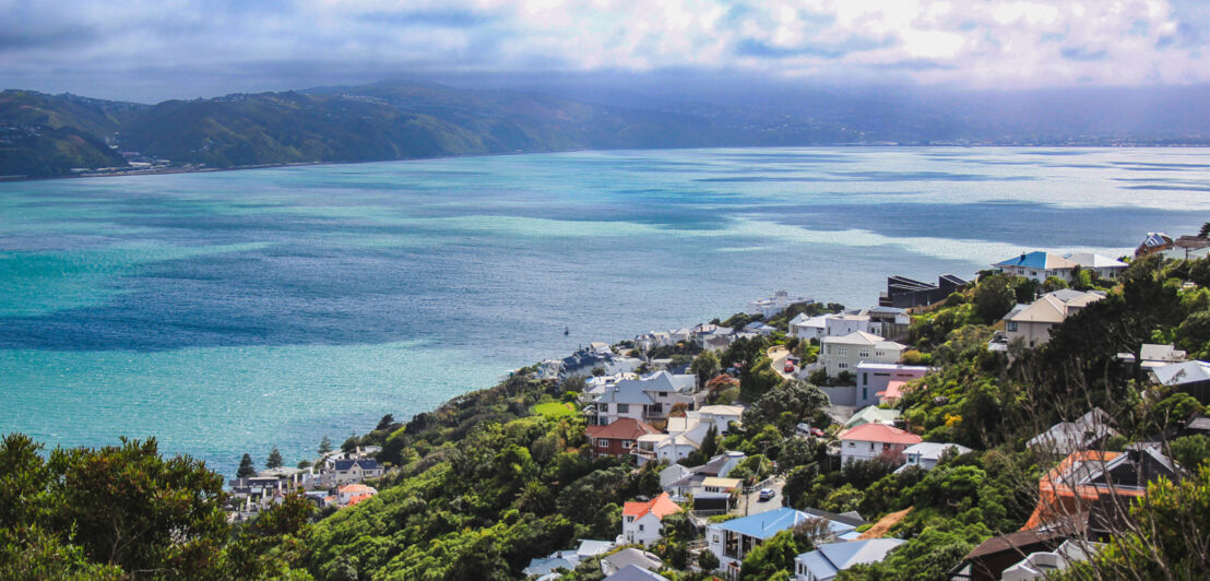 Blick über die Hauptstadt Wellington in das Meer vom Mount Victoria