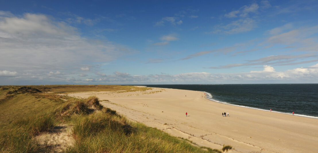 Grasbewachsene Dünenlandschaft an einem weitläufigen Sandstrand