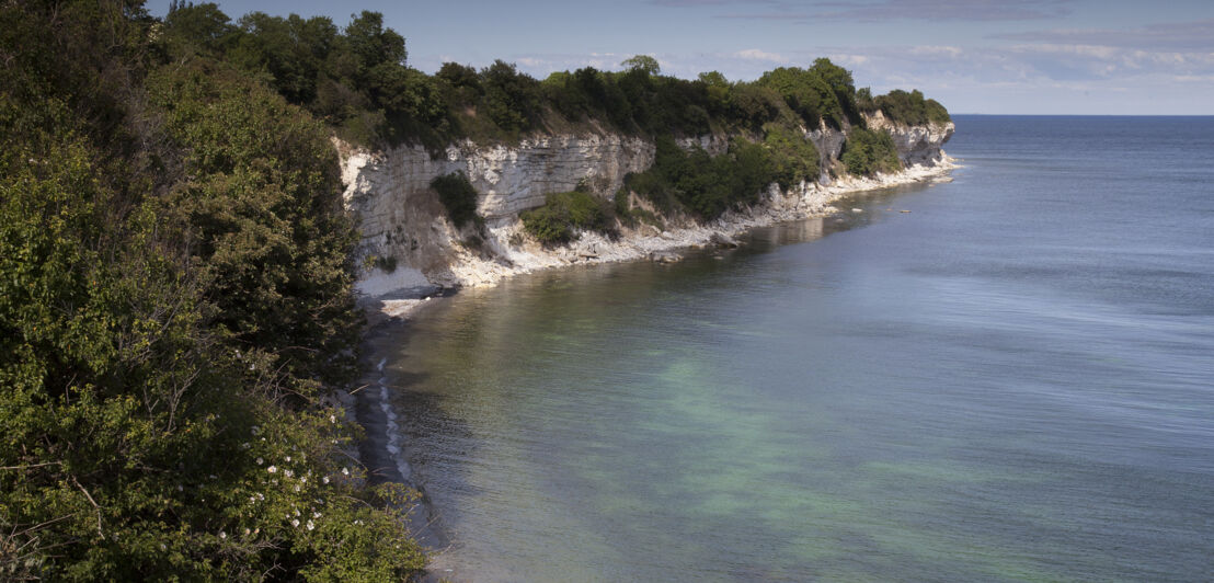 Blick auf das Stevns Klint mit seinen weißen Kreidefelsen