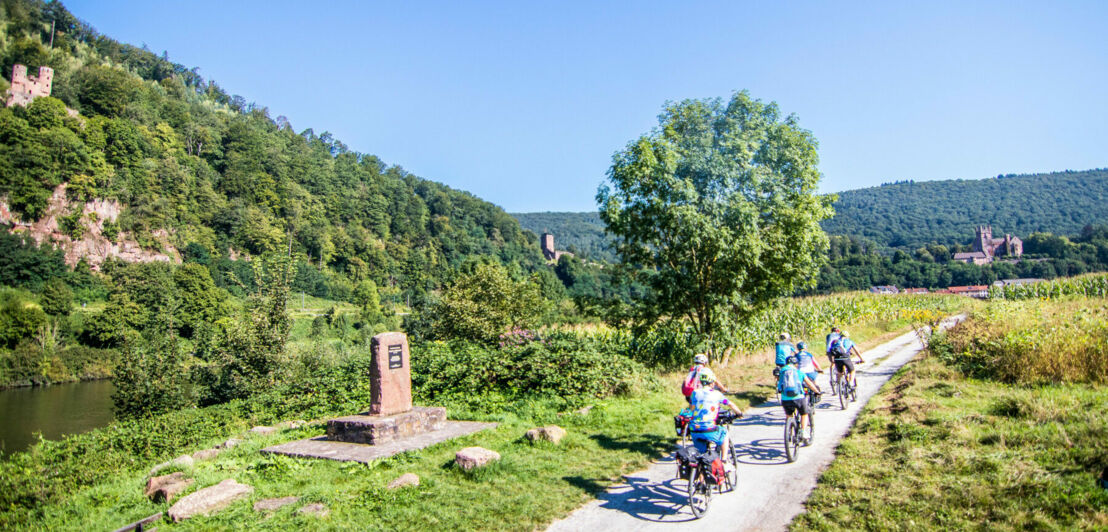 Rückansicht einer Radfahrergruppe, die auf einem flachen Weg durch eine grüne Landschaft entlang eines Flusses fährt