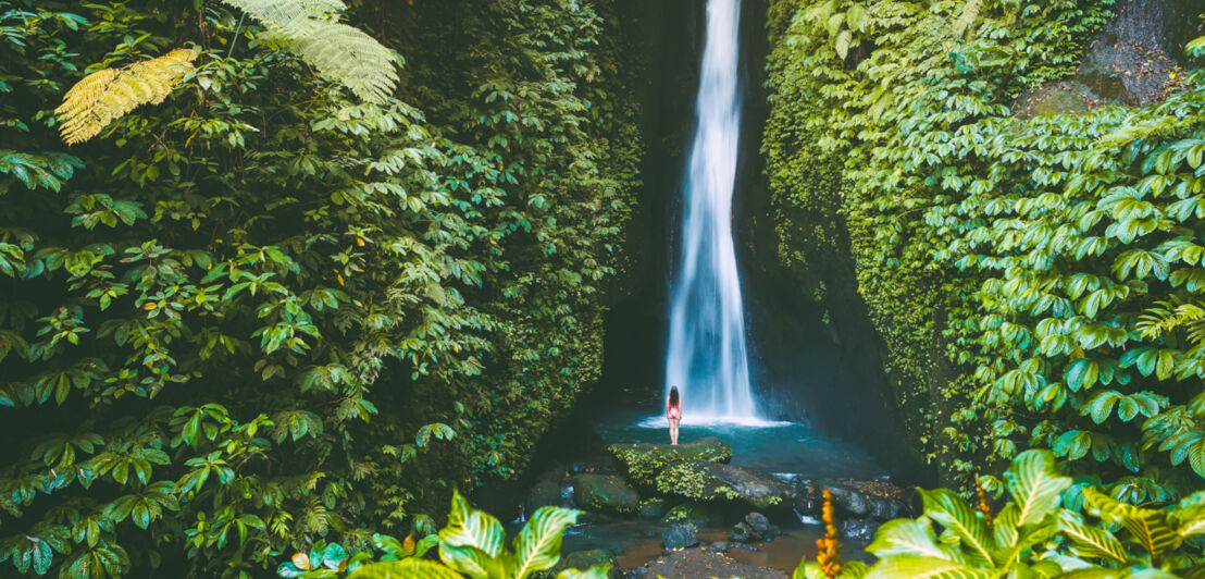 Eine Person steht vor einem Wasserfall in einer grünen Schlucht