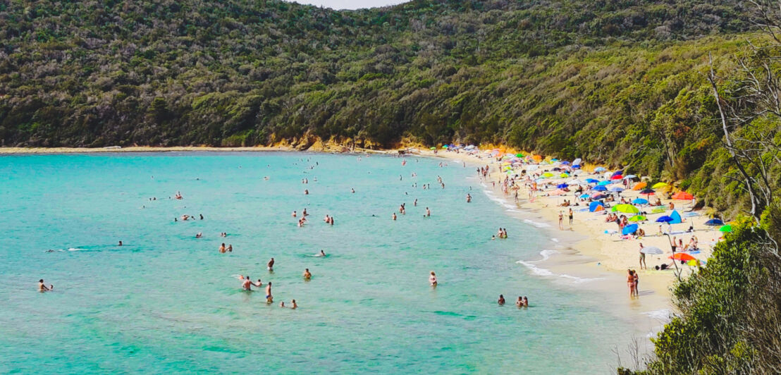 Blick auf eine Bucht mit einem Strand und drumherum viel Grün