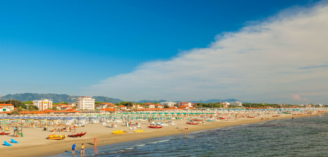 Strand mit Liegen und Sonnenschirmen, im Vordergrund das Meer