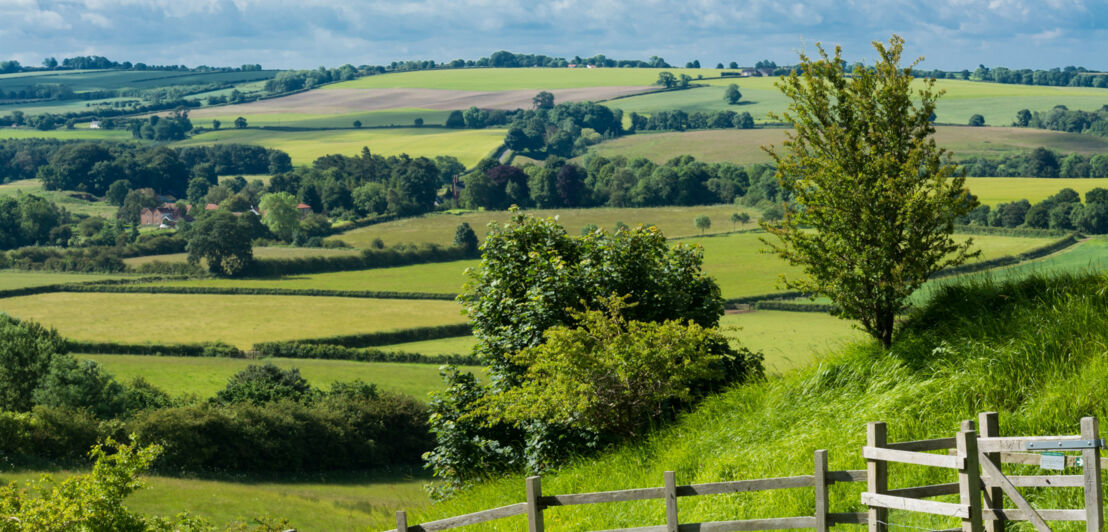 Grüne Hügellandschaft mit landwirtschaftlichen Parzellen, im Vordergrund ein Holzzaun.