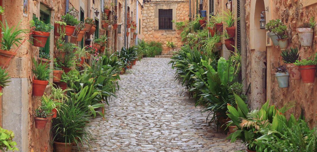 Eine schmale Gasse mit Kopfsteinpflaster. Die Häuserfassaden sind mit zahlreichen Terrakottatöpfen und Pflanzen geschmückt.