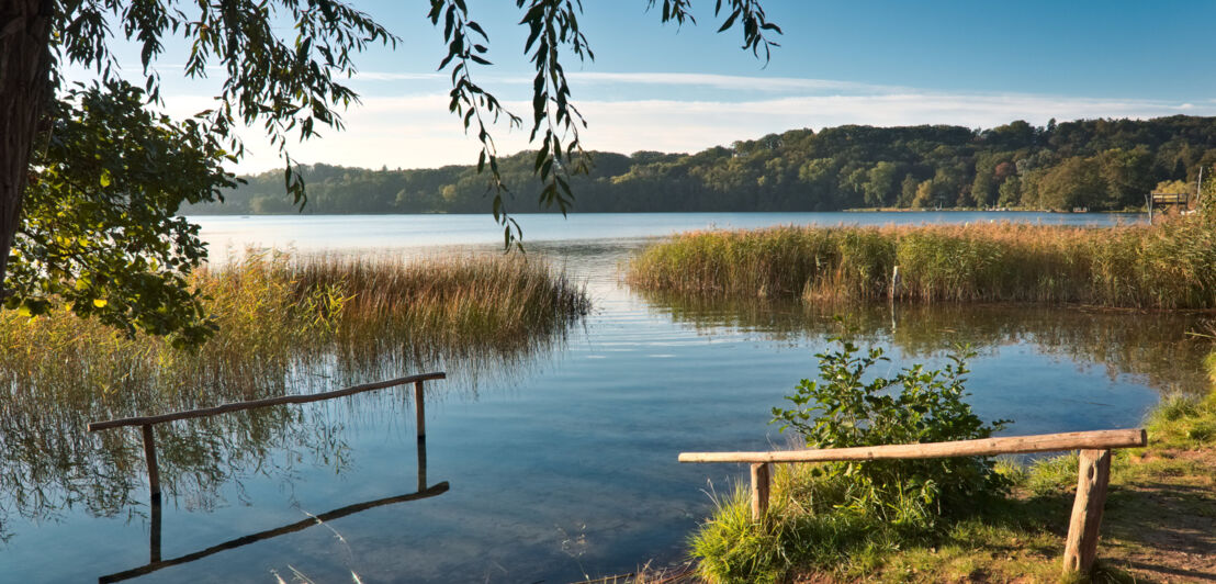 Idyllische Seelandschaft mit Schilf.