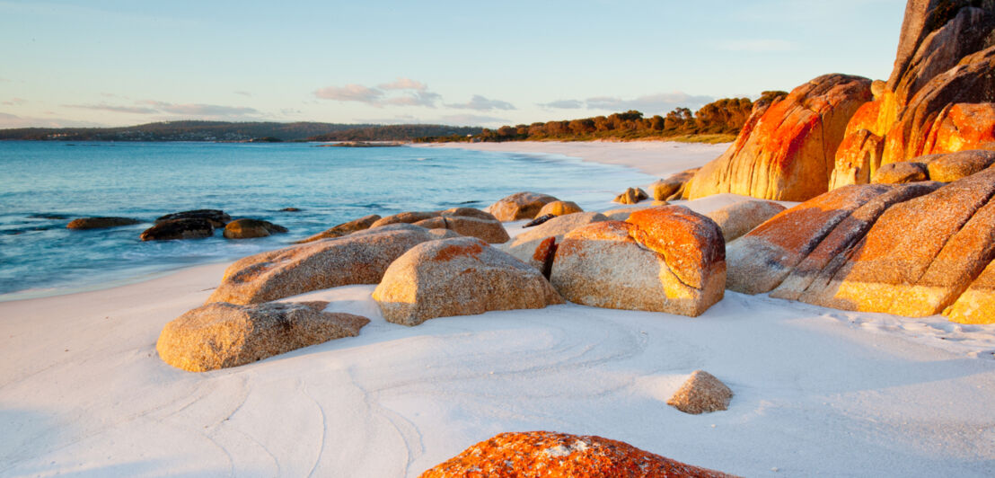 Von roten Flechten überzogene Granitfelsen in der Bay of Fires in Tasmanien.