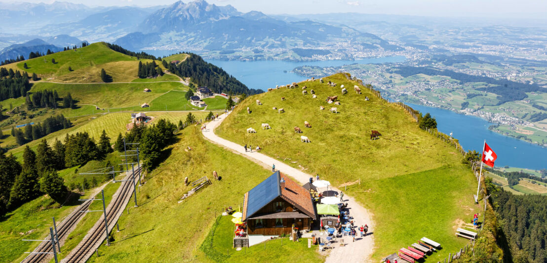 Aufsicht eines grünen Berggipfels mit Almhütte und Kühen oberhalb einer Seenlandschaft.