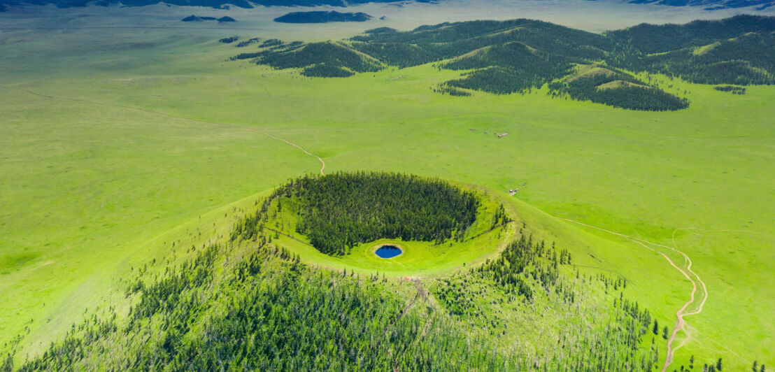 Luftaufnahme eines bewachsenen Vulkankraters inmitten einer weitläufigen Graslandschaft.