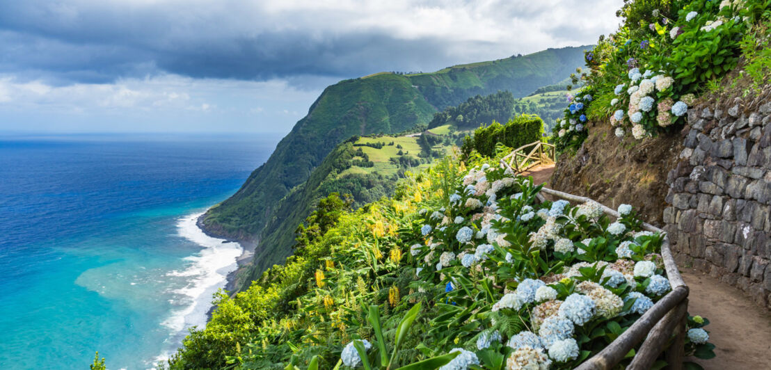 Mit Hortensien bewachsener Küstenweg auf der Azoreninsel São Miguel mit Blick auf den Atlantik.