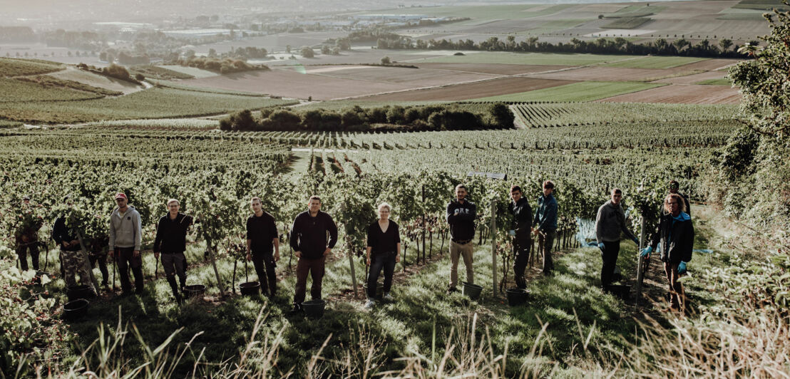 Mehrere Personen posierten nebeneinander vor Rebstöcken in einem Weinberg.