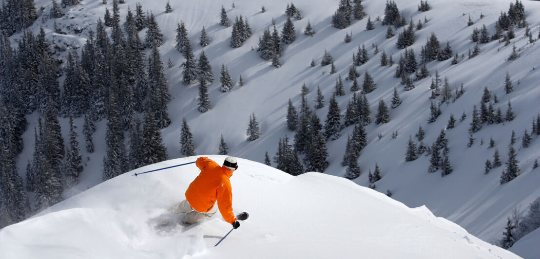 Rückansicht eines Skifahrers im Tiefschnee an einem Hang vor verschneiter Waldlandschaft.