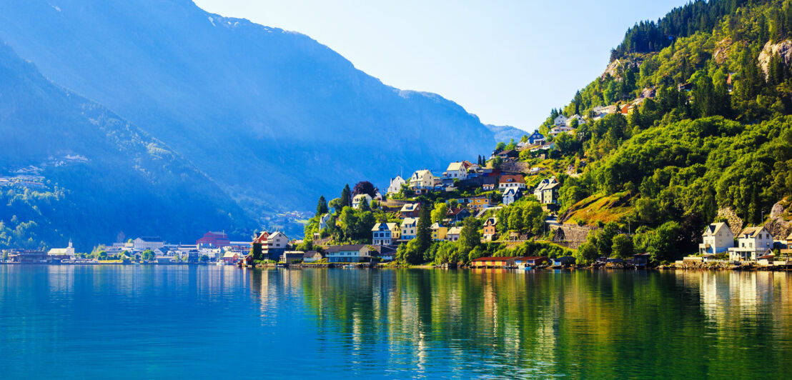 Bunte Häuser einer Stadt an einem bewaldeten Berghang am Wasser inmitten einer Fjordlandschaft.