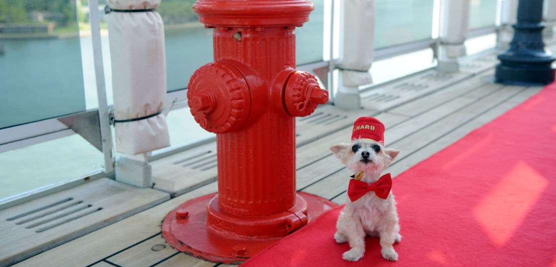 Ein kleiner Hund mit Hut und Fliege sitzt neben einem roten Feuerhydranten an der Reling eines Schiffes.