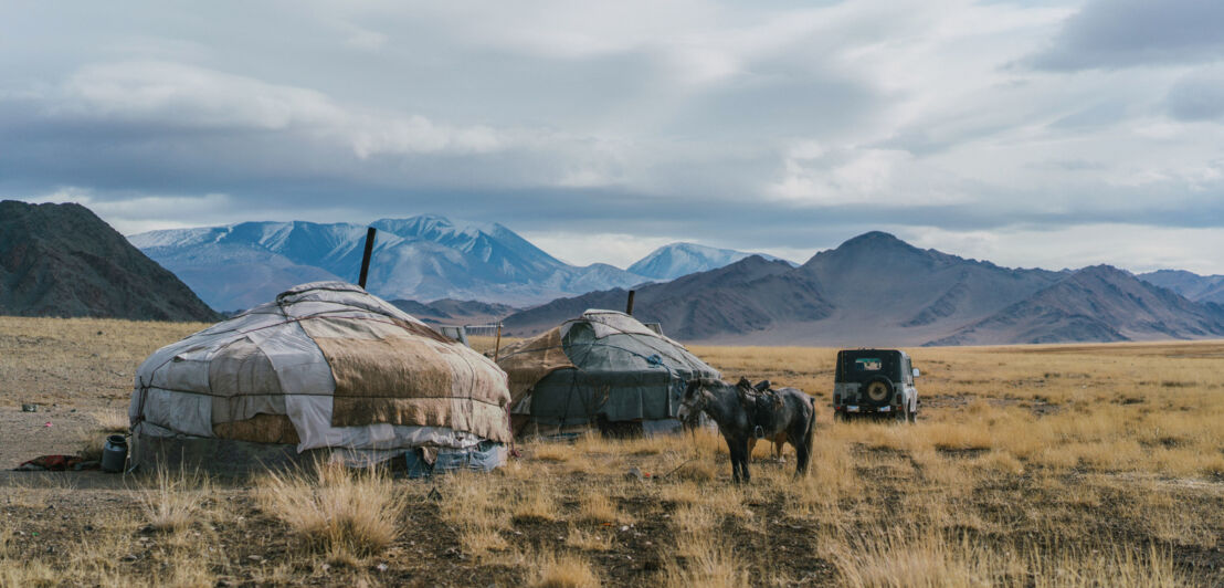 Zwei traditionelle Jurten in der Wüste Gobi vor Gebirgspanorama, daneben steht ein Esel und ein Jeep parkt in der Ferne.