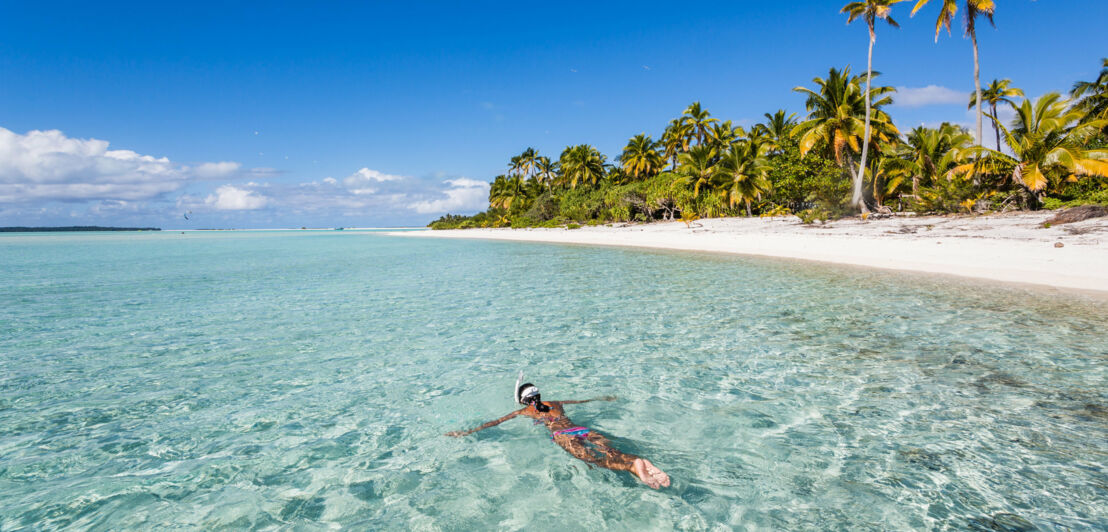 Eine Schnorchlerin im klaren Wasser vor einem palmengesäumten Sandstrand unter blauem Himmel.