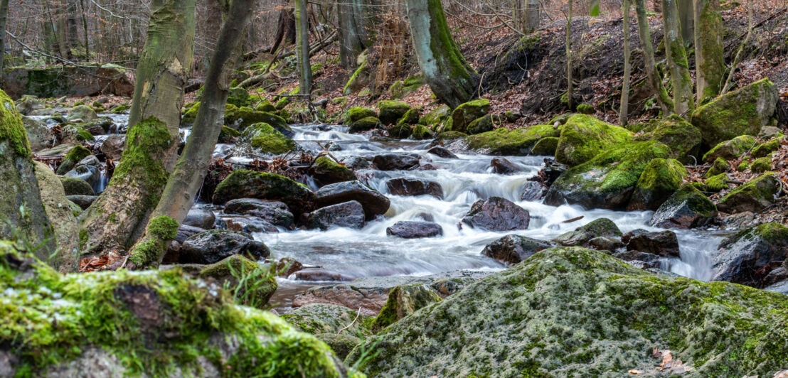 Fluss Ilse mit Wasserfall in Waldlandschaft im Harz.