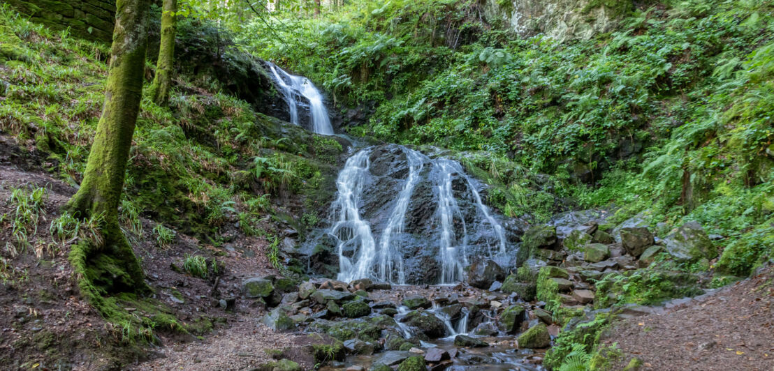Wasser fließt den Holchenwasserfall im Schwarzwald hinab. Wasser fließt den Holchenwasserfall im Schwarzwald hinab.