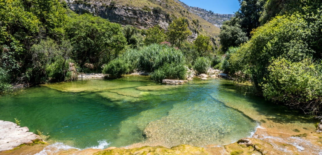 Idyllisches Wasserloch in Berglandschaft mit grüner Vegetation.