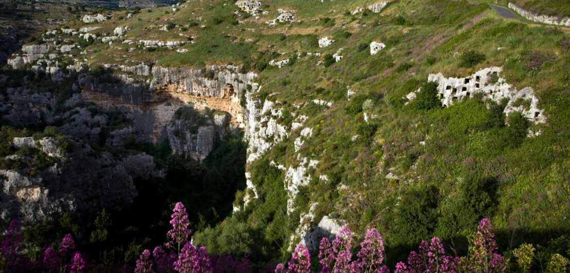 Blühende Berglandschaft mit Nekropolen in Felswänden.