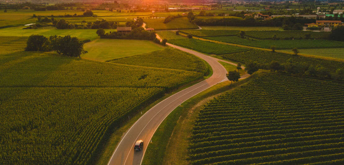 Ein Auto fährt auf einer Straße durch eine Landschaft mit grünen Weinbergen bei Sonnenuntergang.