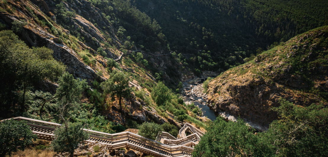 Holzstege, die durch steiles Gelände in der grünen Paiva-Schlucht in Portugal führen.