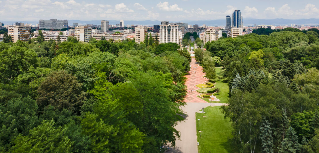 Große Parklandschaft vor einer Skyline.