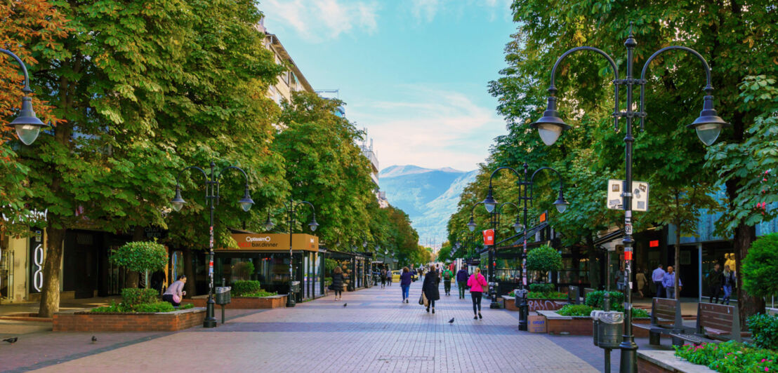 Personen in einer Fußgängerzone in einer Innenstadt mit grünen Bäumen, im Hintergrund Bergpanorama.