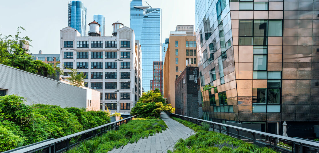 Weg auf einer umgebauten und begrünten Hochbahntrasse im Stadtzentrum von New York City.