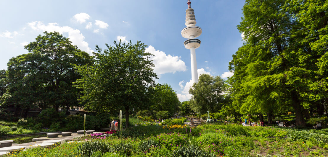 Park in Hamburg mit dem Fernsehturm im Hintergrund.