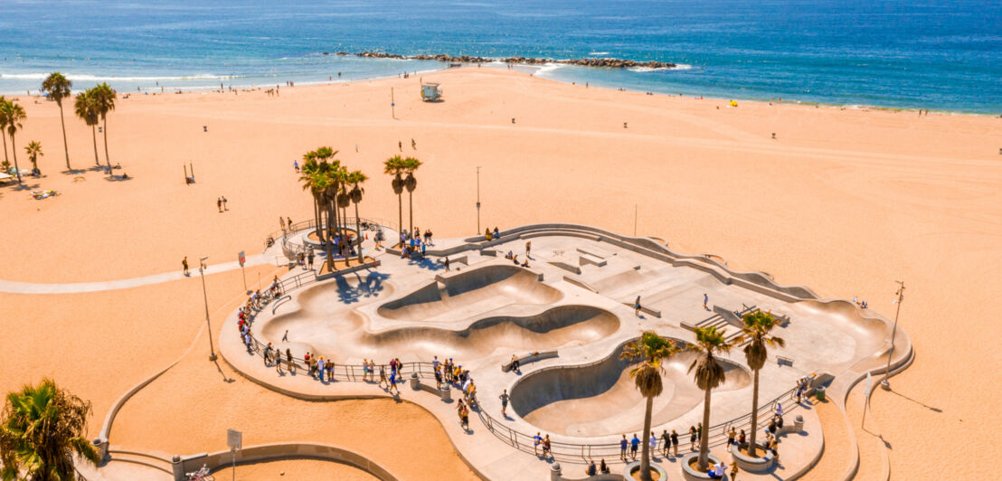 Personen an einem Skatepark mit Betonrampen und Palmen an einem breiten Sandstrand.