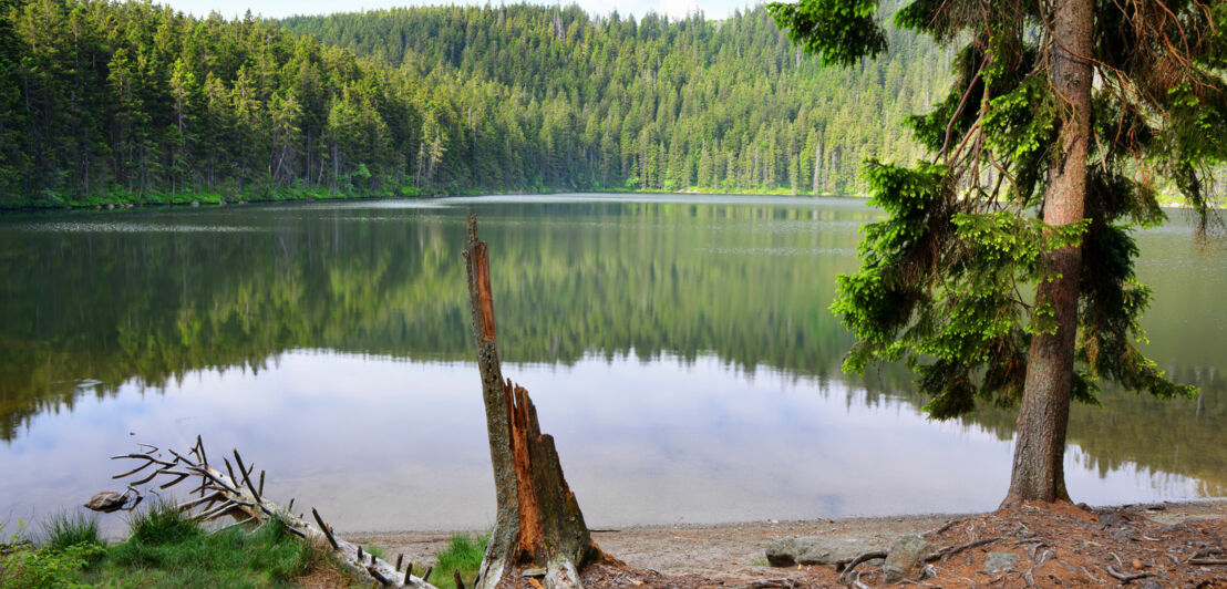 Ein See in einem Waldgebiet.