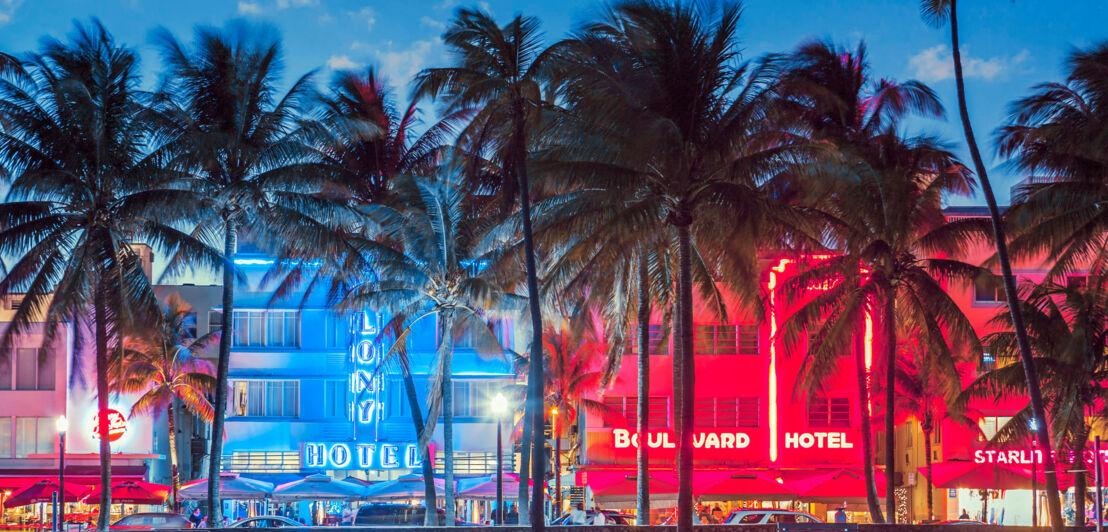 Bunt beleuchtete Häuserfronten am Ocean Drive in Miami mit Palmen im Vordergrund Bunt beleuchtete Häuserfronten am Ocean Drive in Miami mit Palmen im Vordergrund