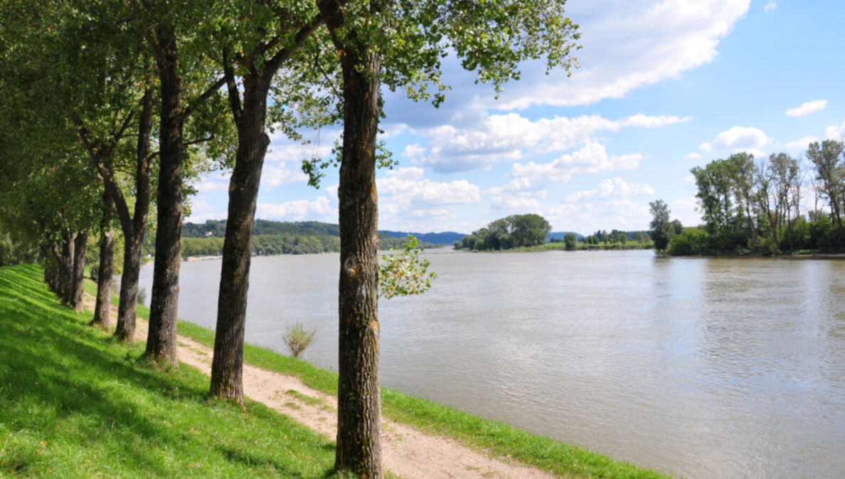 Ein Wanderweg am Ufer eines Flusses mit Bäumen an der Seite